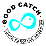 Good Catch logo from the South Carolina Aquarium